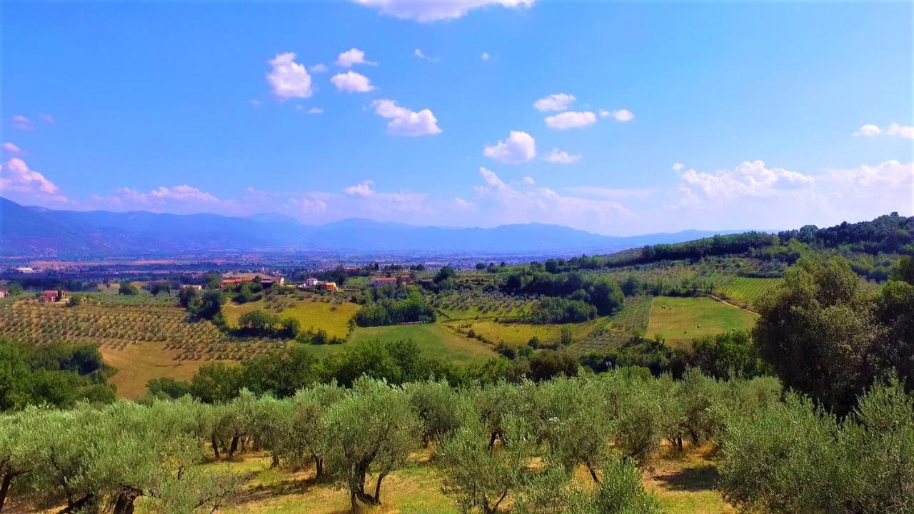 Agriturismo Camiano Piccolo Montefalco Exteriér fotografie