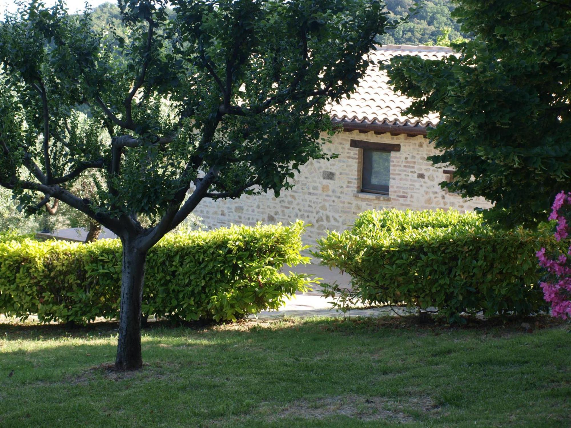 Agriturismo Camiano Piccolo Montefalco Exteriér fotografie